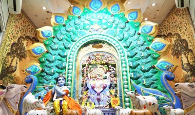 પુરૂષોત્તમ માસ નિમિતે શ્રી કષ્ટભંનજનદેવ દાદાને જન્માષ્ટમી થીમ ઉપર મનોહર મોરપિચ્છનો દિવ્ય શણગાર