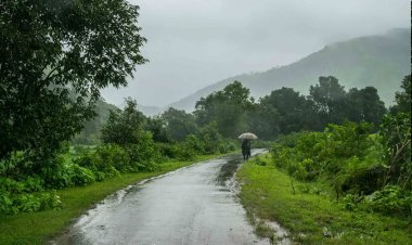 7 દિવસથી ચોમાસુ એક જ જગ્યાએ અટકયું
