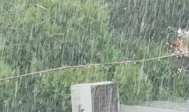 બાલાસીનોરમાં પોણા છ ઈંચ વરસાદ ખાબકયો