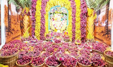 શ્રી કષ્ટભંજનદેવ દાદાને જરદોશી વર્કવાળા વાઘા અને ૩૦૦૦ કિલો ખલેલાનો સિંહાસને દિવ્ય શણગાર અને અન્નકૂટ ધરવાયો