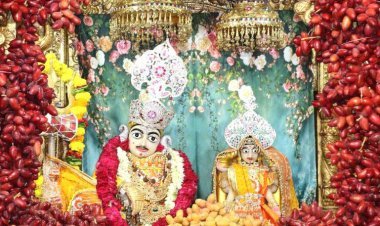જૂનાગઢનાં શ્રી સ્વામિનારાયણ મુખ્ય મંદિર ખાતે પુનમ નિમિત્તે ભાવિકો ઉમટી પડયા : વિશેષ પુજાનાં કાર્યક્રમો યોજાયા