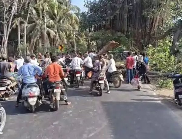 માંગરોળ-કેશોદ હાઈવે પર વડનું વૃક્ષ પડતાં ટ્રાફિક ઠપ