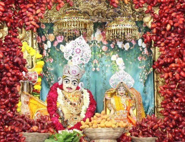 જૂનાગઢનાં શ્રી સ્વામિનારાયણ મુખ્ય મંદિર ખાતે પુનમ નિમિત્તે ભાવિકો ઉમટી પડયા : વિશેષ પુજાનાં કાર્યક્રમો યોજાયા