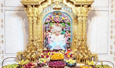 શ્રી કષ્ટભંજનદેવને દિવ્ય ‘બટરફ્લાય થીમ‘ના વાઘાનો શણગાર અને ફળોનો અન્નકૂટ ધરાવાયો