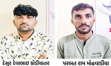પોરબંદર જિલ્લામાં અસામાજિક તત્વો અને બુટલેગરો સામે એલસીબીનો સપાટો : બે માથાભારે ઈસમો પાસાનાં પાંજરે પુરાયા