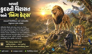 આપણી કુદરતી વિરાસત અને 'બિગ કેટ્સ' : પર્યાવરણના સાચા રક્ષકોનું સંરક્ષણ કેમ જરૂરી?