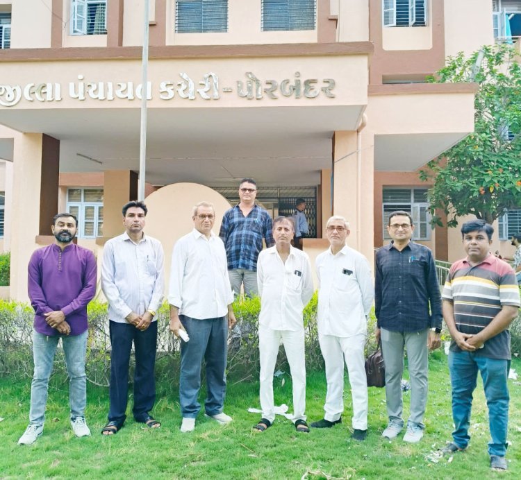 શિક્ષકોના પગારમાં અનિયમિતતા સામે રોષ  પ્રાથમિક શૈક્ષણિક સંઘ દ્વારા ડીડીઓને આવેદનપત્ર