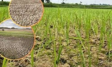 અષાઢ માસમાં મેઘરાજાએ નિરાશ કર્યા : માત્ર ઝાપટારૂપે વરસાદ