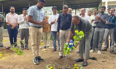 જૂનાગઢ જિલ્લાની ઔદ્યોગિક તાલીમ સંસ્થાઓ ખાતે વૃક્ષારોપણ કાર્યક્રમ યોજાયો