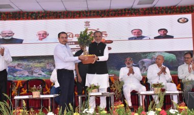 વિશ્વ સિંહ દિવસે ગુજરાતે સંરક્ષણની સિદ્ધિઓ ગણાવી, 143 વર્ષ બાદ બરડામાં સિંહોની વાપસી