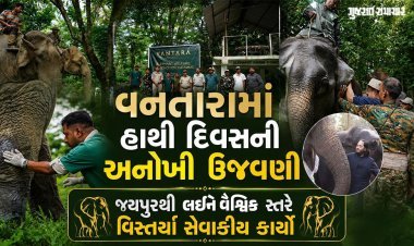 વનતારામાં હાથીઓના સંરક્ષણ માટે અનેક પહેલની જાહેરાત