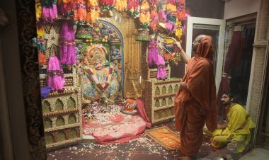 સાળંગપુરધામમાં પવિત્રા એકાદશીએ કષ્ટભંજનદેવનું ભવ્ય રાજોપચાર પૂજન, હજારો ભક્તોએ લીધા દિવ્ય દર્શન