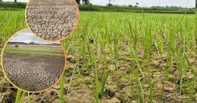 અષાઢ માસમાં મેઘરાજાએ નિરાશ કર્યા : માત્ર ઝાપટારૂપે વરસાદ