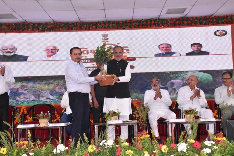 વિશ્વ સિંહ દિવસે ગુજરાતે સંરક્ષણની સિદ્ધિઓ ગણાવી, 143 વર્ષ બાદ બરડામાં સિંહોની વાપસી