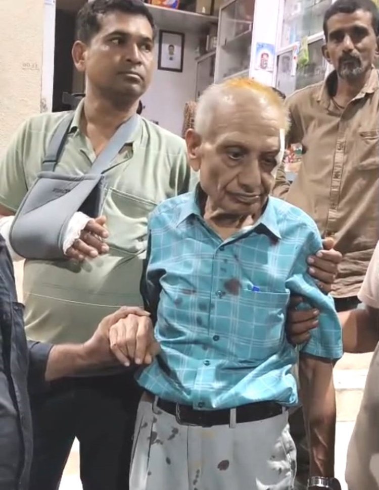 જૂનાગઢ શહેરમાં રખડતા પશુઓના અડીંગાના કારણે રાહદારી - વાહનચાલકોને મુશ્કેલી