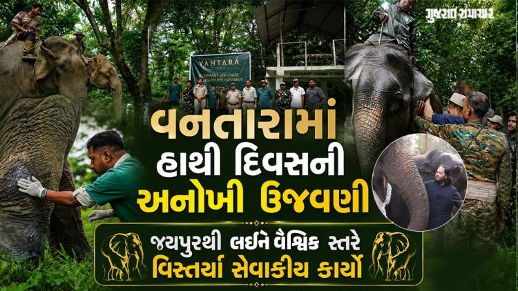 વનતારામાં હાથીઓના સંરક્ષણ માટે અનેક પહેલની જાહેરાત