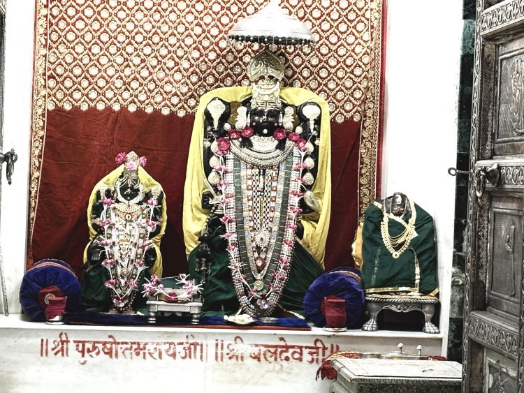 જૂનાગઢ : રાધારમણ દામોદર મંદિરે નાગપંચમીની ઉજવણી