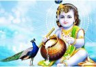 શુક્રવારે જન્માષ્ટમી  લોકોમાં ભારે ઉત્સાહ