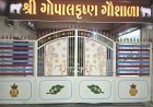 માંગરોળ ગોપાલ કૃષ્ણા ગૌ શાળા ખાતે બર્ફીલા બાબા અમરનાથ દર્શનનું આયોજન