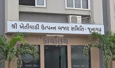 જૂનાગઢ ખેતીવાડી ઉત્પન્ન બજાર સમિતિની ખેડૂત વિભાગની ૧૦ બેઠકો પર યોજાઈ રહેલું મતદાન : ૧૭ ઉમેદવારો વચ્ચે ચૂંટણી જંગ