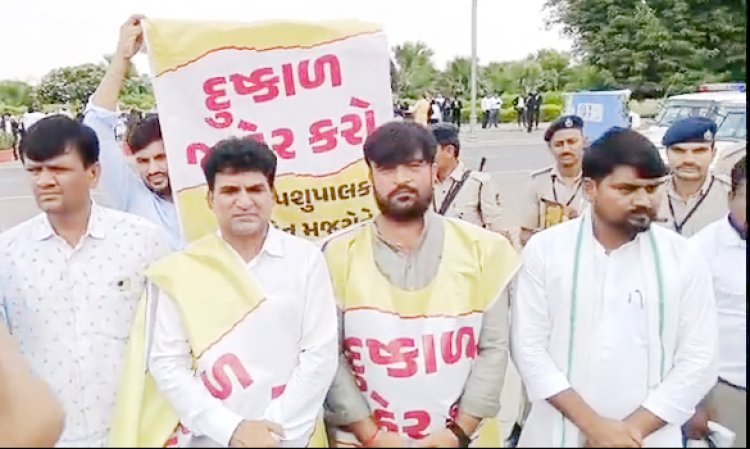 ગુજરાત વિધાનસભાના ૩ દિવસીય ચોમાસુ સત્રનો પ્રારંભ  મોંઘવારી, ખેડુતોના મુદ્દે સરકારને ઘેરવા વિપક્ષનું આક્રમક વલણ