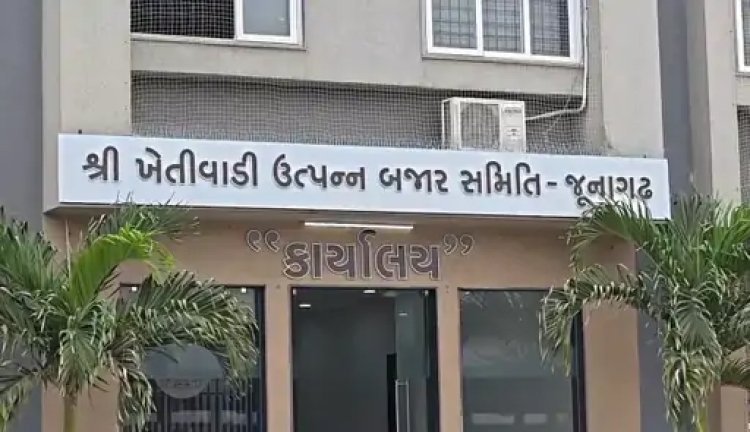 જૂનાગઢ ખેતીવાડી ઉત્પન્ન બજાર સમિતિની ખેડૂત વિભાગની ૧૦ બેઠકો પર યોજાઈ રહેલું મતદાન : ૧૭ ઉમેદવારો વચ્ચે ચૂંટણી જંગ