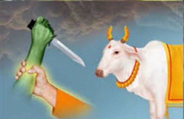 માંગરોળમાં મકાનમાંથી કતલખાનું ઝડપાયું : આરોપી રફૂચક્કર