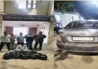 પોરબંદર : કર્મચારી સોસાયટી નજીકથી ઉદ્યોગનગર પોલીસે કારમાંથી ૫૭૬ બોટલ વિદેશી દારૂના જથ્થો ઝડપી પાડયો