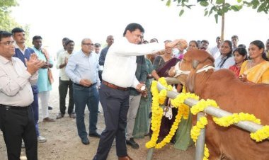 એમ્બ્રિયો ટ્રાન્સફર ટેકનોલોજીથી દૂધ ઉત્પાદકોના જીવનમાં ક્રાંતિ આવશે