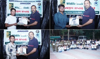 સક્કરબાગ ઝૂમાં વન્યજીવ સપ્તાહની ઉજવણી અંતર્ગત ડોક્યુમેન્ટરી, રીલ અને ફોટોગ્રાફી સ્પર્ધાઓ યોજાઈ