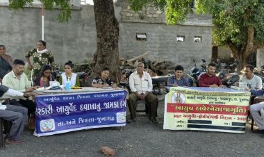 વિસાવદરના નાની મોણપરી ગામે આરોગ્ય નિદાન કેમ્પ યોજાયો, આસપાસના ગામોના લોકોએ લીધો સારવારનો લાભ