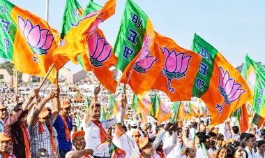 ગાંધીનગર મહાનગરપાલીકાની ચૂંટણીમાં કેસરીયો લહેરાયો  ભાજપને ૩૮, કોંગ્રેસને માત્ર પાંચ બેઠકો મળી