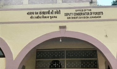 પડતર માંગણીઓ મુદ્દે વનકર્મીઓનું આંદોલન, 500થી વધુ કર્મચારીઓ માસ સીએલ પર ઉતર્યા