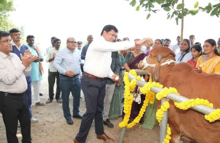 એમ્બ્રિયો ટ્રાન્સફર ટેકનોલોજીથી દૂધ ઉત્પાદકોના જીવનમાં ક્રાંતિ આવશે
