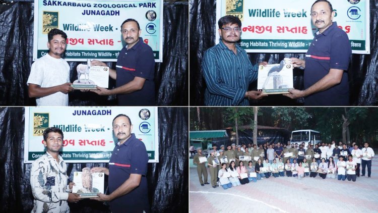 સક્કરબાગ ઝૂમાં વન્યજીવ સપ્તાહની ઉજવણી અંતર્ગત ડોક્યુમેન્ટરી, રીલ અને ફોટોગ્રાફી સ્પર્ધાઓ યોજાઈ