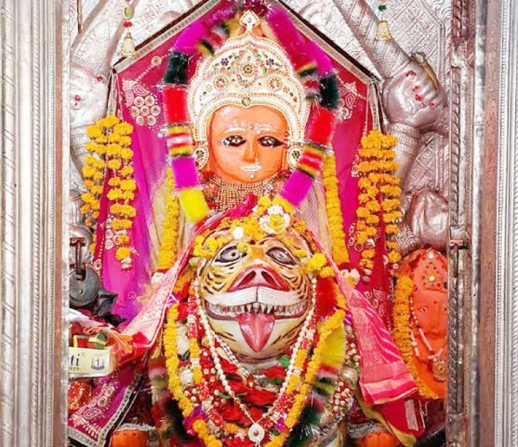 જૂનાગઢના ગિરનાર દરવાજા નજીક આવેલા પૌરાણિક શ્રી વાઘેશ્વરી માતાજીના મંદિરે આસો સુદ આઠમ નિમિત્તે યજ્ઞ યોજાયો